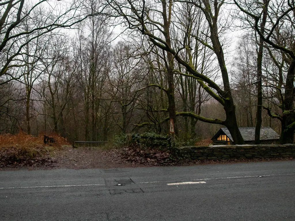 A road, with woodland and a small hut on the other side. There is light shining through the window of the hut.