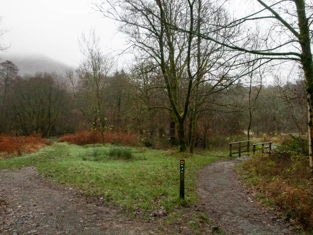 A trail split, with the right trail lea dinging to a mini bridge.