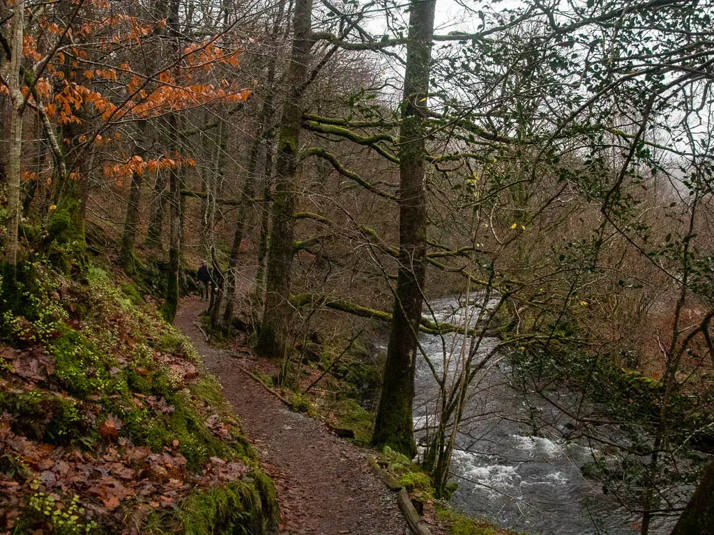 A dirt trail on the side of a hill on the left, with a river below to the right, on the walk towards rydal Cave from rydal Water.