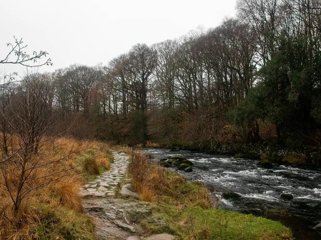 A stone paved trail on the left and river on the right on the walk towards Grasmere and then Rydal Cave. there are woodland trees on the other side of the river.