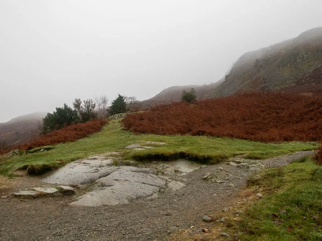 A junction with a dirt trail to the left and grass trail ahead.