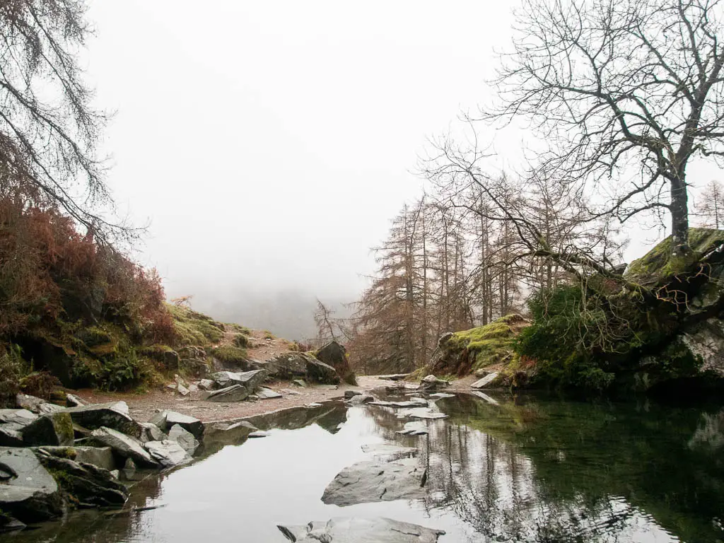 Standing looking out of Rydal Cave to some leafless trees through the fog, on the circular walk around Rydal Water.