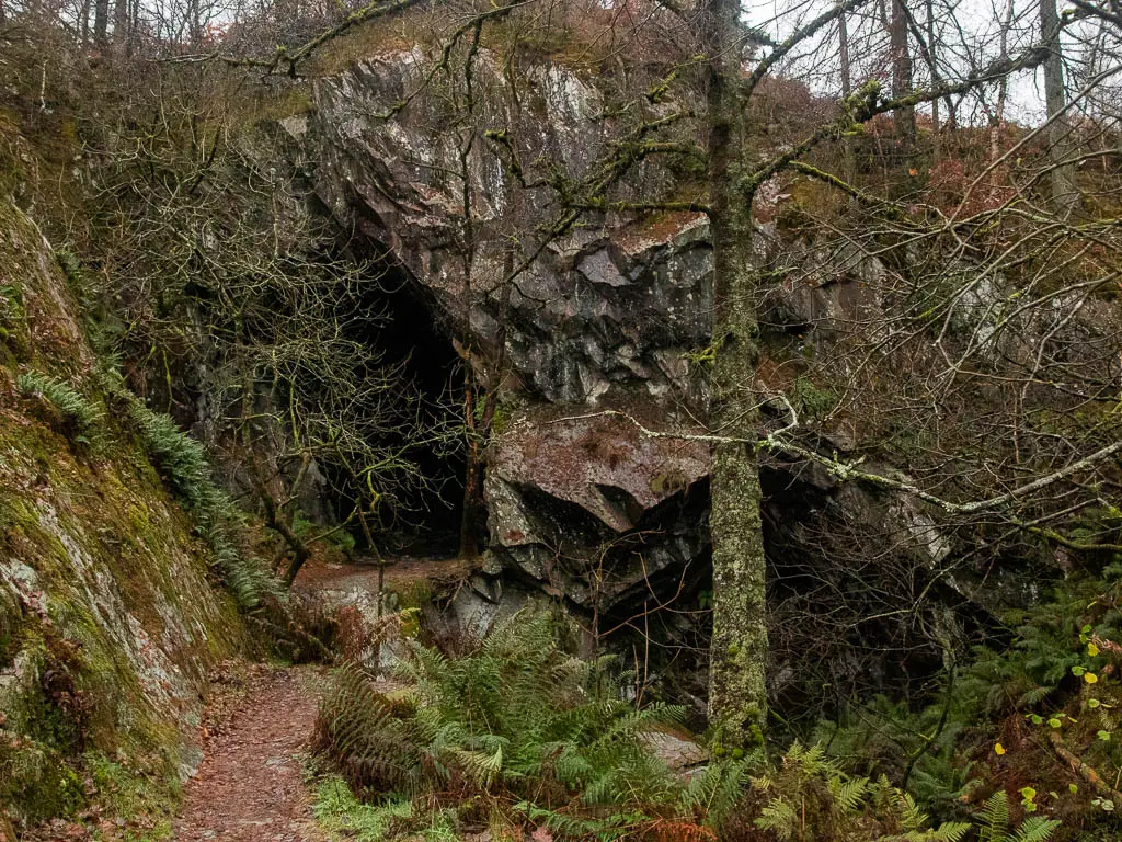 Looking towards a cave surround by tree branches and fern.