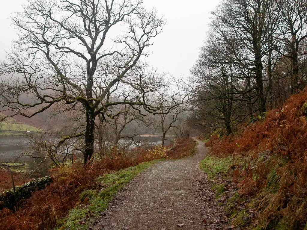 A path leading straight ahead, with Rydal Water just visible to the left, near the end of the circular walk.