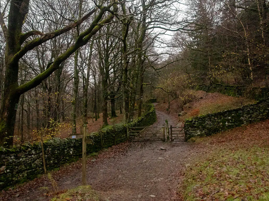 The path leading to a wooden gate in thew stone wall.