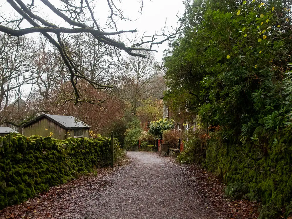 A wide path lines with moss covered stone walls on either side. There is a shed on the other side of the wall to the left, and the facade of a house just about visible ahead to the right.