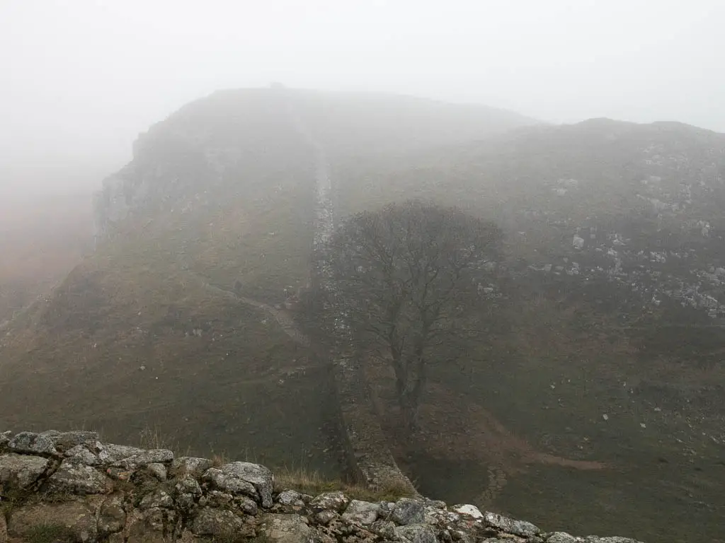 Looking down the hill into Sycamore Gap, part way through the walk, with the tree standing next to Hadrian's Wall.