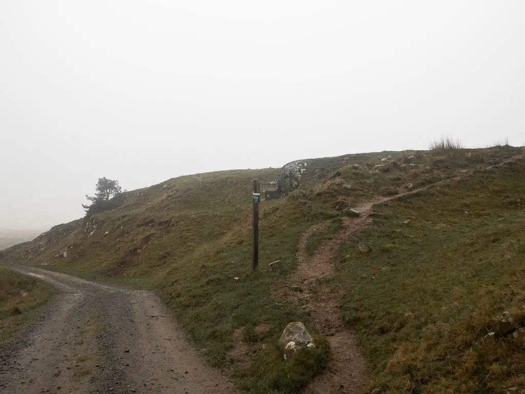 A road on the left, and hill on the right, with a dirt trail and trail signpost on the hill.