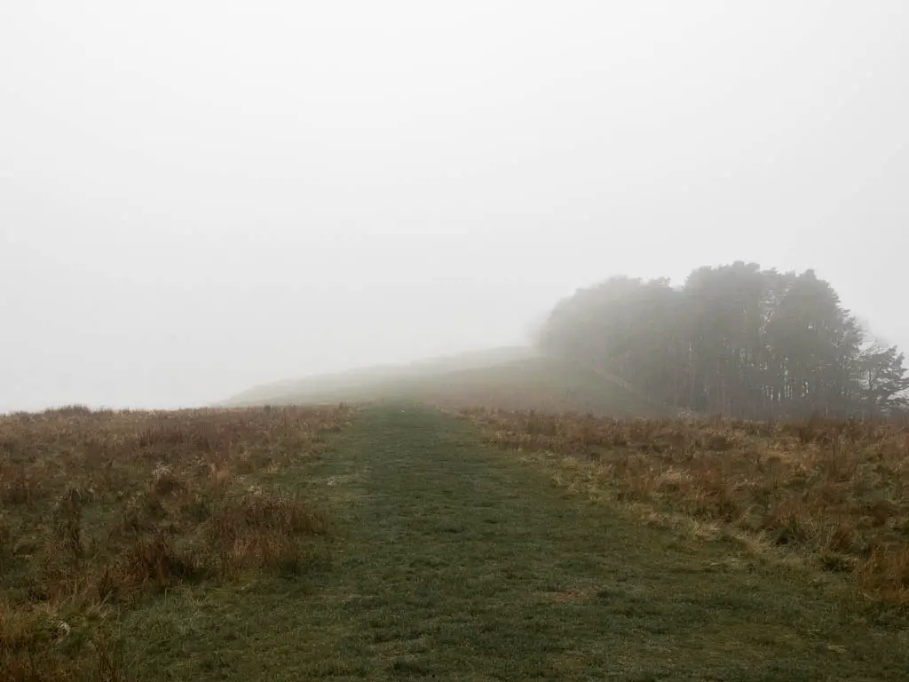 A wide grass trail with fog and woodland ahead.