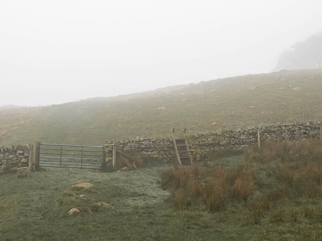 A stone wall dividing the fields, with a wooden ladder over the wall.