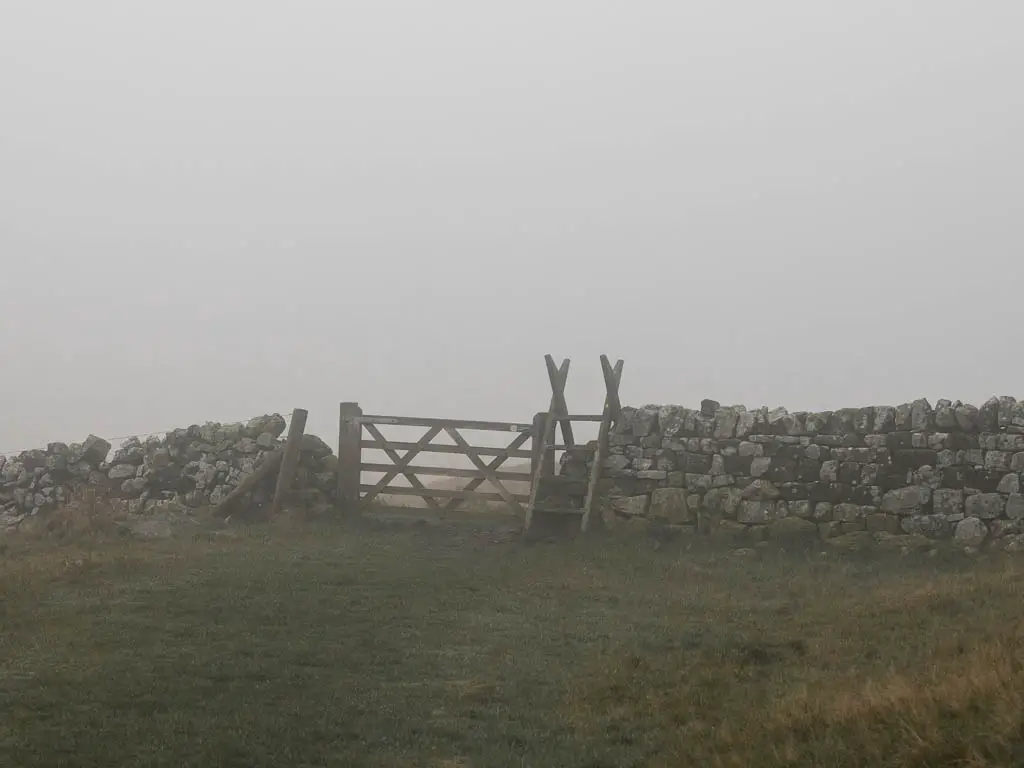 A wooden ladder over the stone wall on a foggy day, on the walk back to Sycamore Gap.