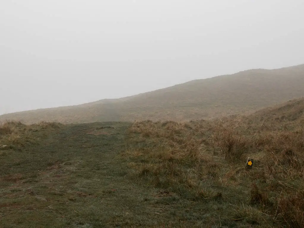 A grass trail running through the hill fields on a foggy day.