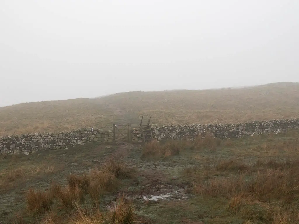 A big field with a wooden stone wall ahead, and a wooden ladder going over it.