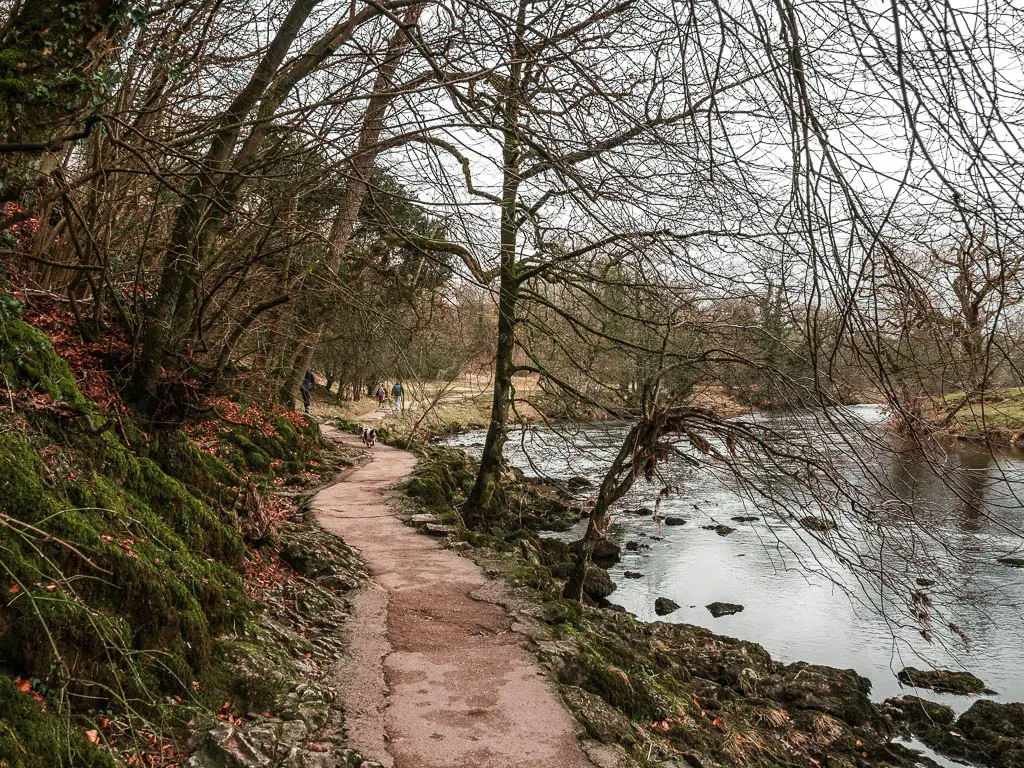 A winding path on the left side of the river along the Burnsall to Grassington walk. There is a steep bank covered in green moss on the left side of the trail.