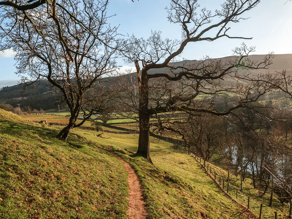 A narrow dirt trail running along side side of a grass hill, with a few big leafless trees lining it.