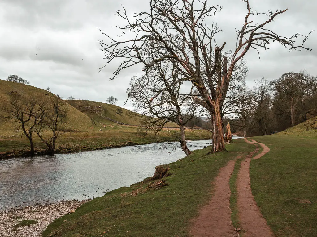 A dirt trail running through the grass on the right, with a calm river on the left. There river back is lined with leafless trees.