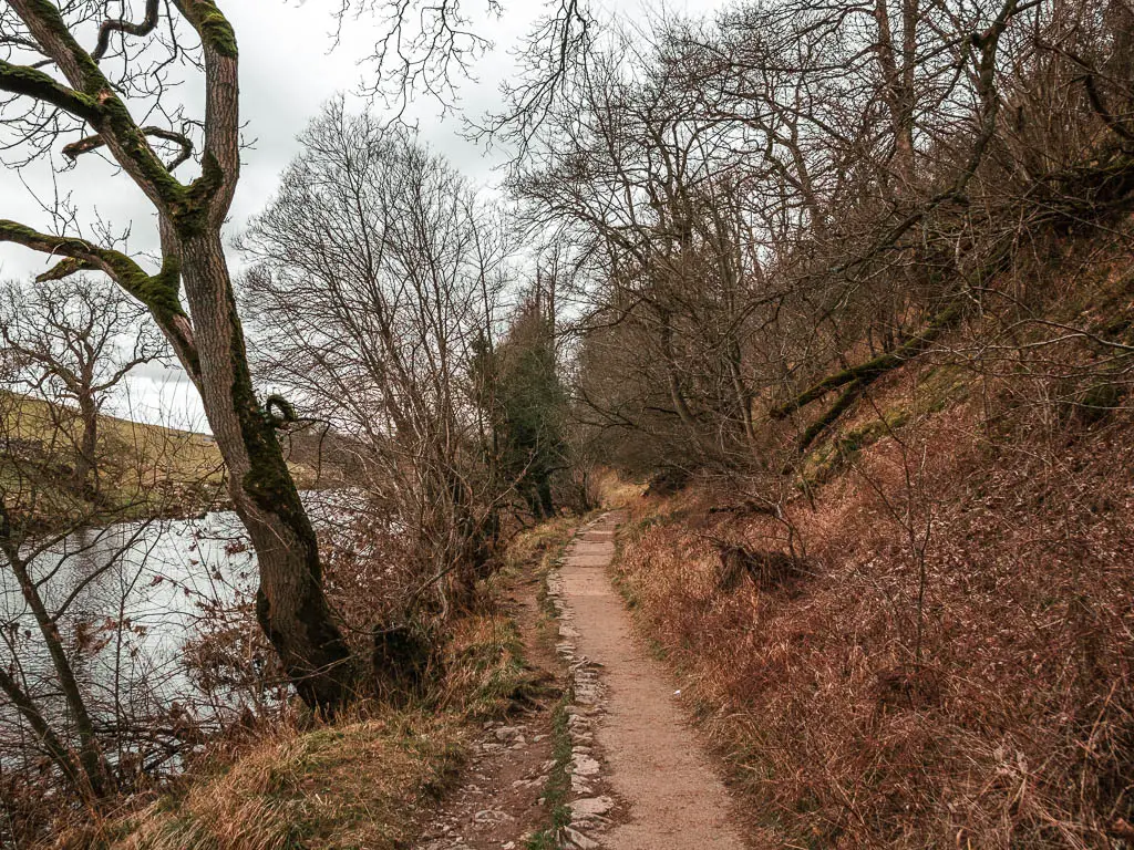 A narrow path with a hill covered in dead grass on the right, and the river on the left.