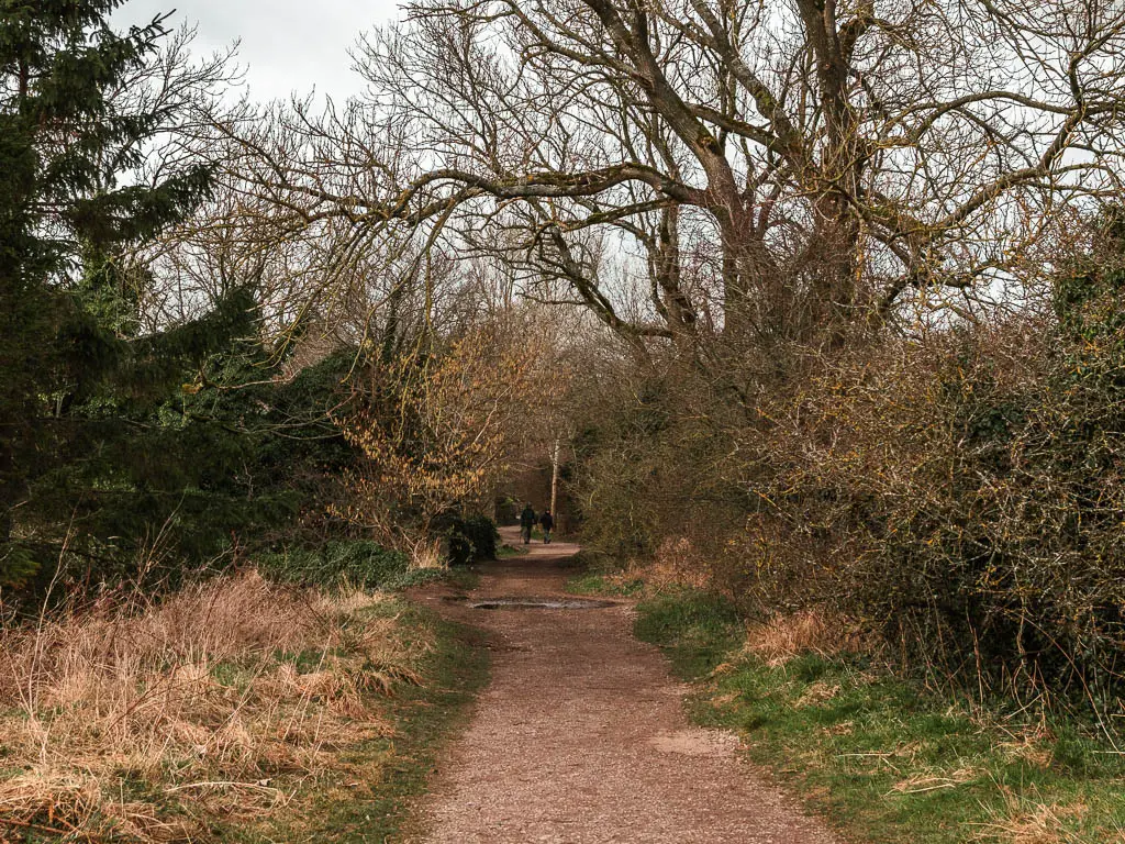 A trail leading through the bushes and trees. There are some people walking along it ahead.