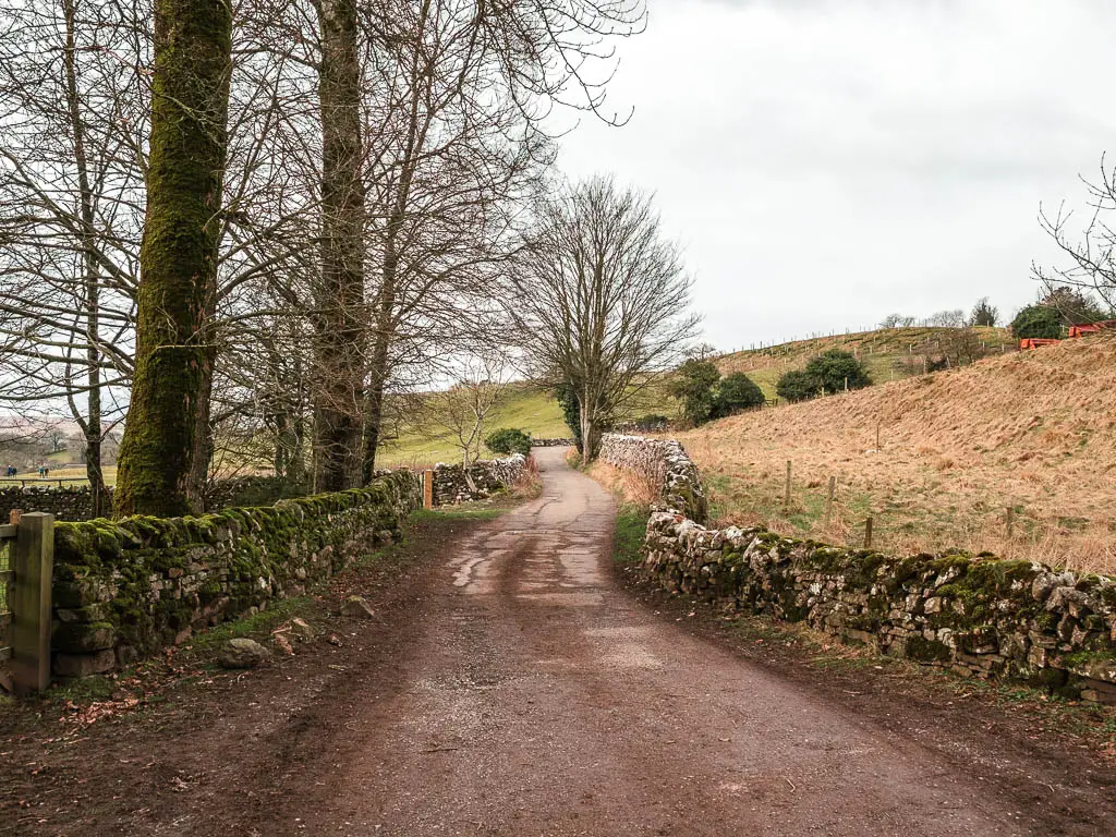 A dirt road lined with stones walls.