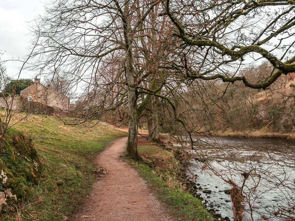 A dirt path on the left side of the river, with leafless trees next to the path and a stone house ahead to the left up a small hill.