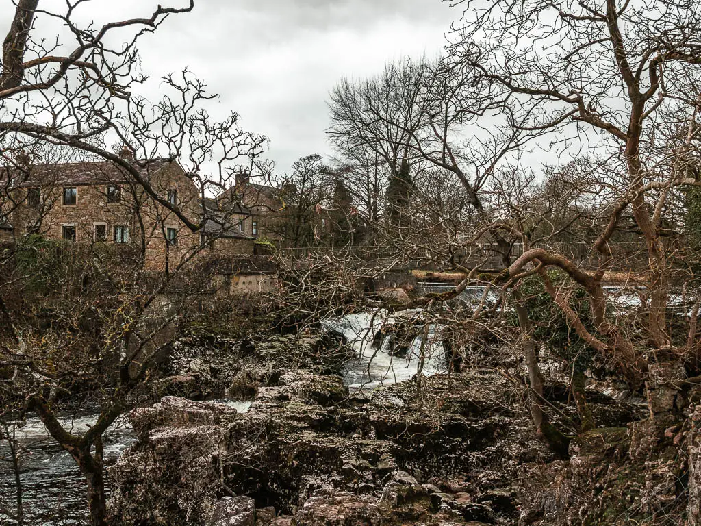 Looking through the leafless tree branches to the rocks and water of Linton Falls on the walk between Burnsall and Grassington.