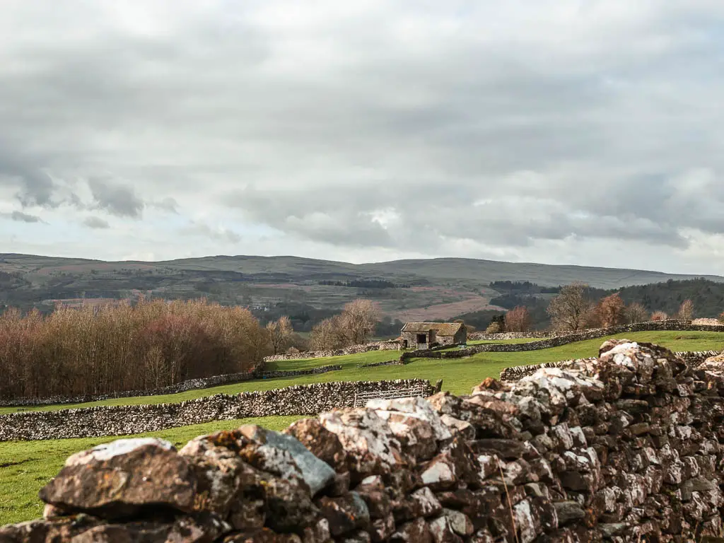 Looking across a stone wall to the fields and hills in the distance on the walk back to Burnsall from Grassington. There is a small stone shed in the distance in the field.