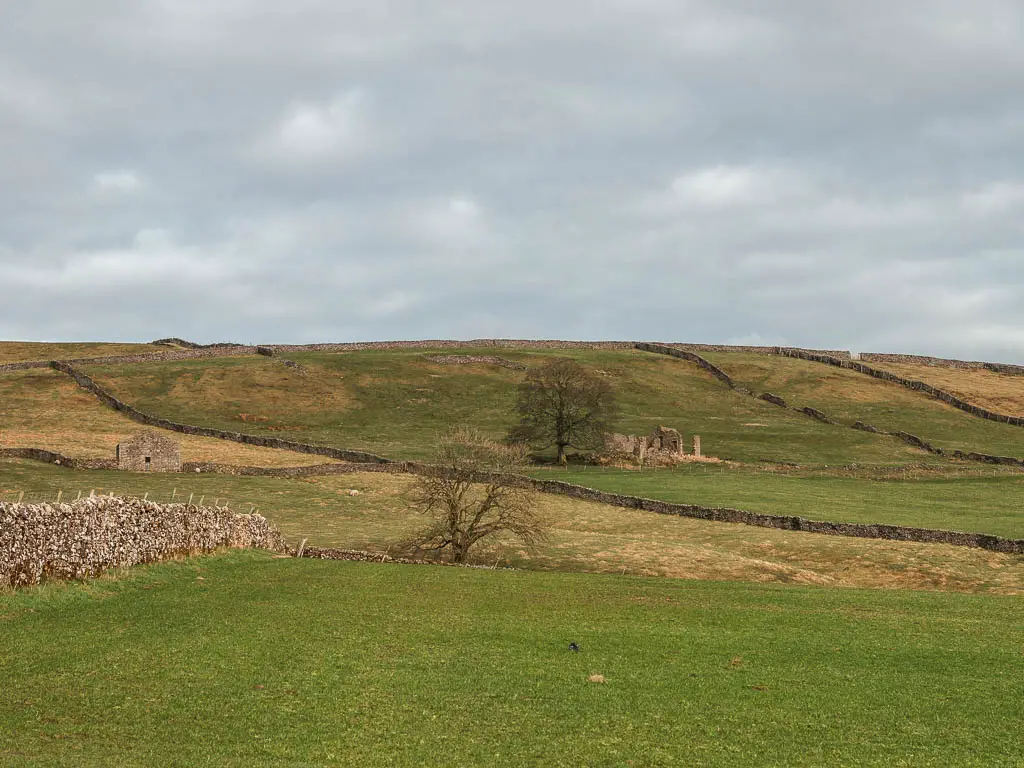 Looking across the large grass field towards a hill ahead with a few stone budding ruins on the walk between  Burnsall and Grassington.