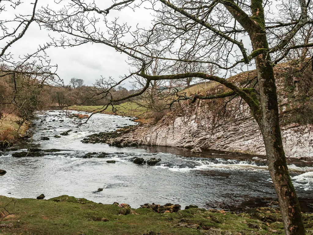 Looking along the river, with a small white rock cliff on the other side.