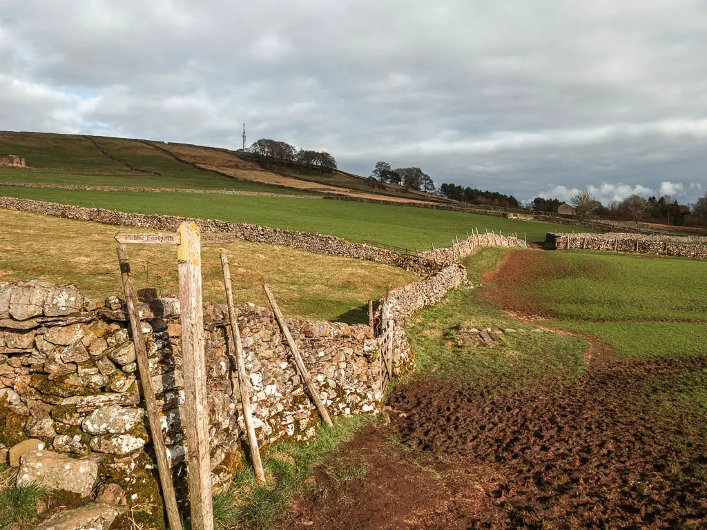 A stone wall on the left side of a field, with a dirt trail running alongside it. There is a wooden trail signpost on the left, pointing along the dirt trail.