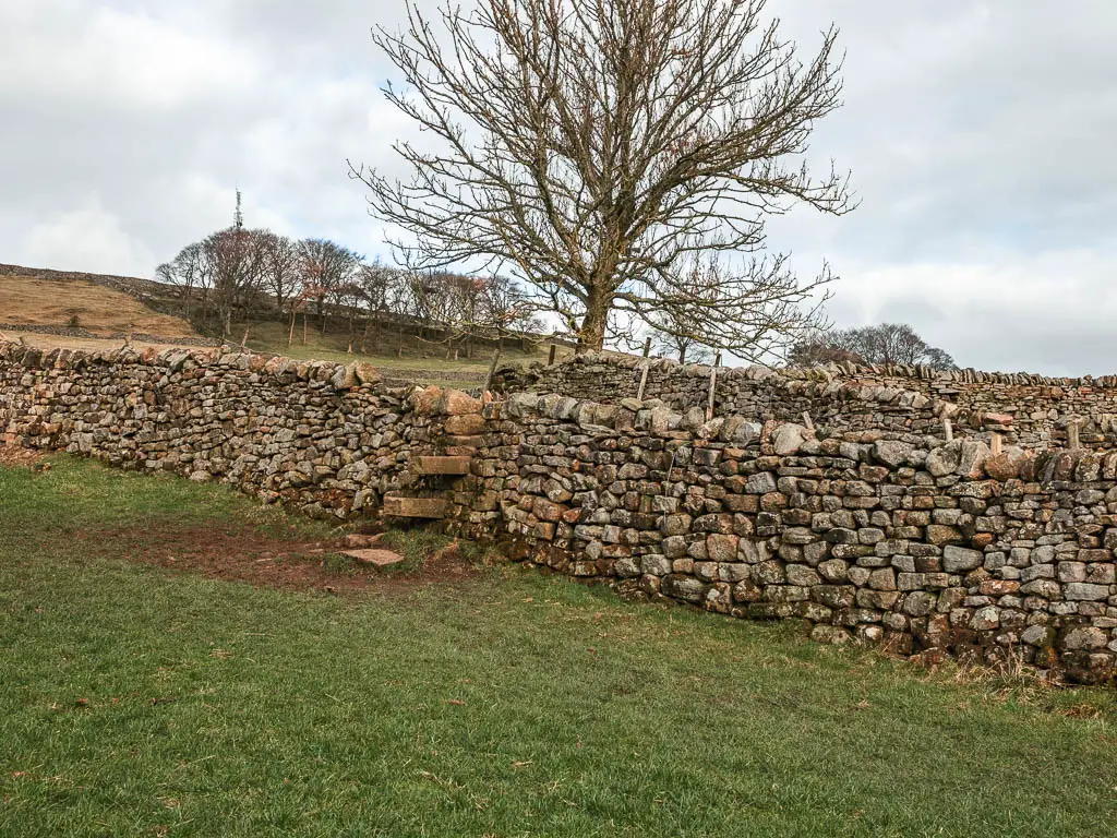 Stone steps in a stone wall.