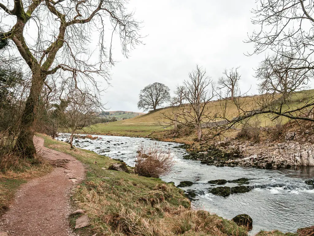 A trail on the left snaking alongside the river on the right, with a small green grass hill on the other side, with some leafless trees dotted about.