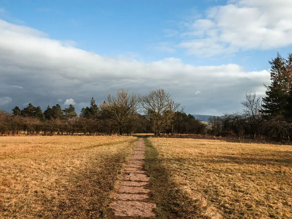 A stone paved path running through the middle of a field with dead grass, towards trees on the other side.