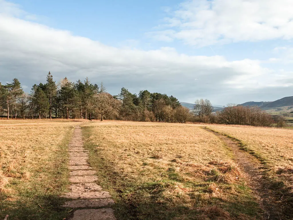 A stone paved trail on the left and a dirt trail on the right, running across a field of dead grass, towards trees on the other side.