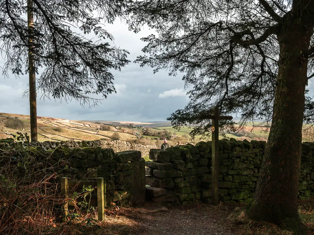 Standing under the dark woodland, looking towards a stone wall with a small gap, and out to the open where the the sun is shining, but the clouds are grey in the distance.