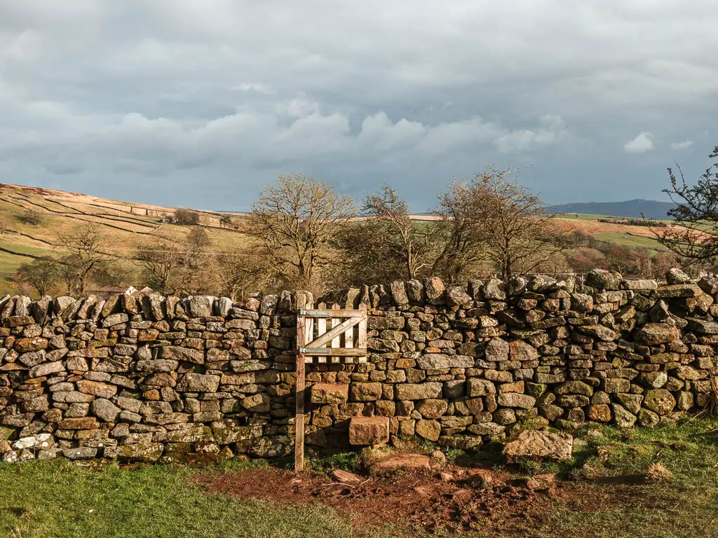 a very small gate in a stone wall on the walk back to Burnsall from Grassington.