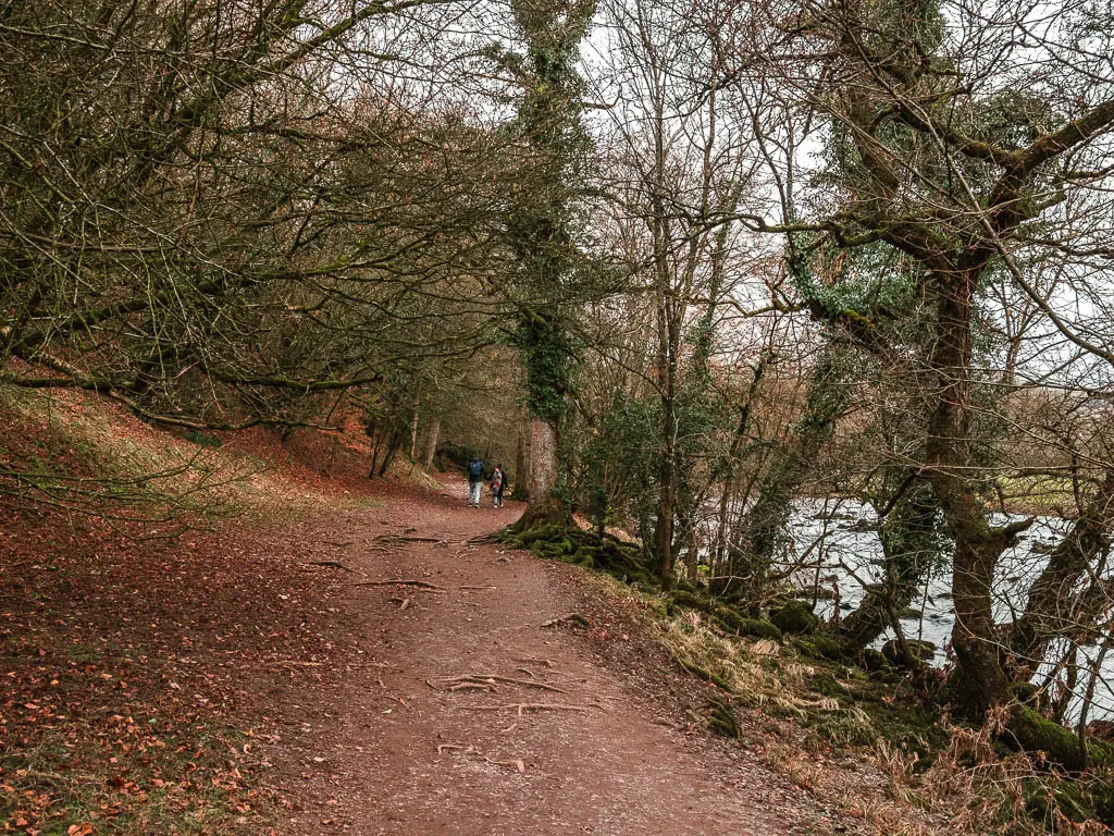 A dirt path leading under the woodland trees, with a couple of people walking ahead.