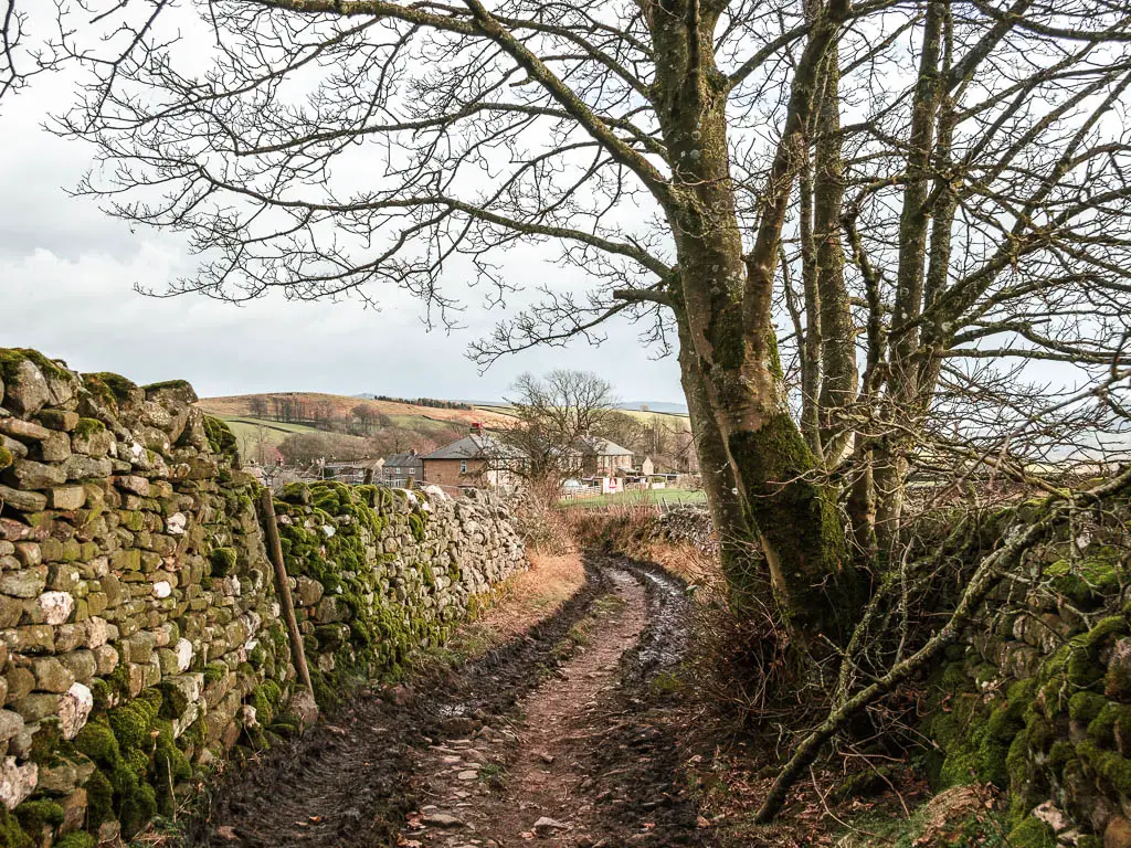 A dirt track lined with stone walls. There is a big leafless tree on the rights and the rooftops of houses ahead in the distance. 