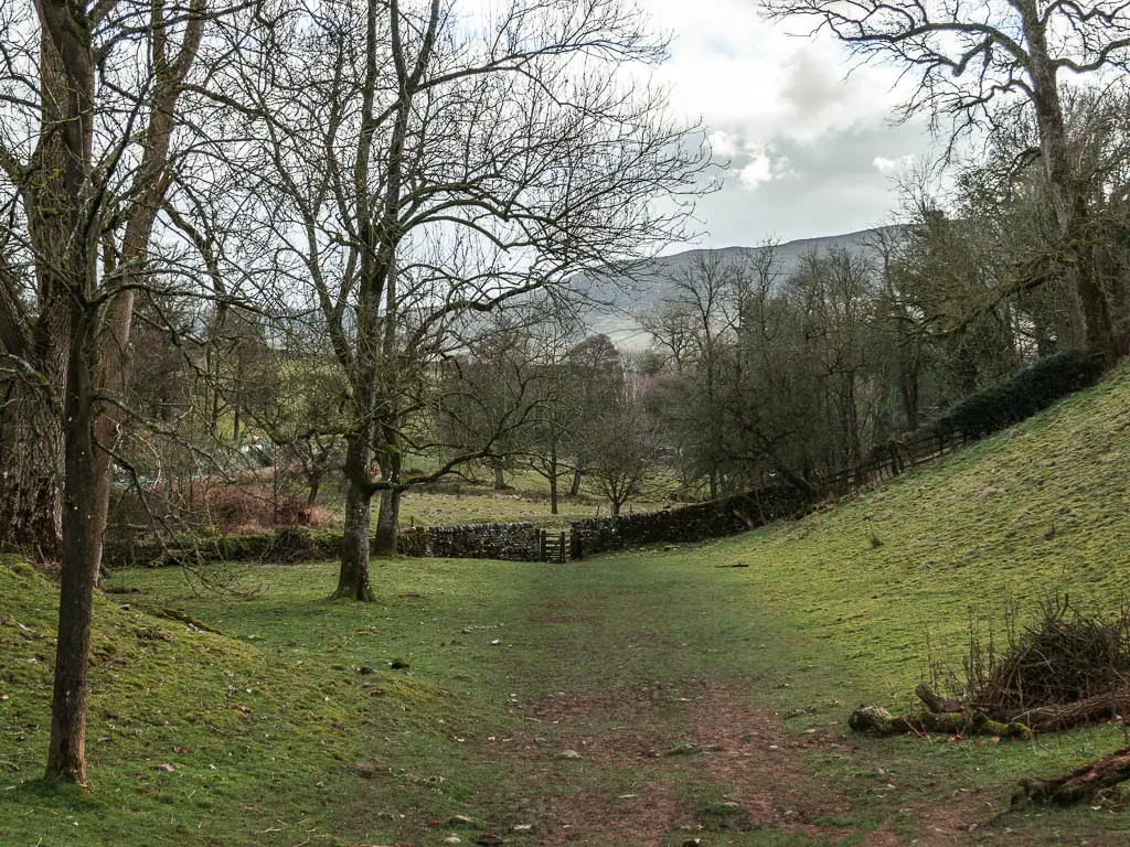 A large grass pathway in a dip in the hills, leading towards a wooden gate in a stone wall. There are lots of leafless trees dotted about.