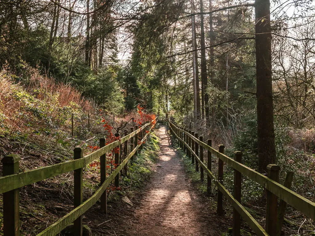 A path lined with wooden railings underneath the lush woods, near the end of the Burnsall to Grassington circular walk..