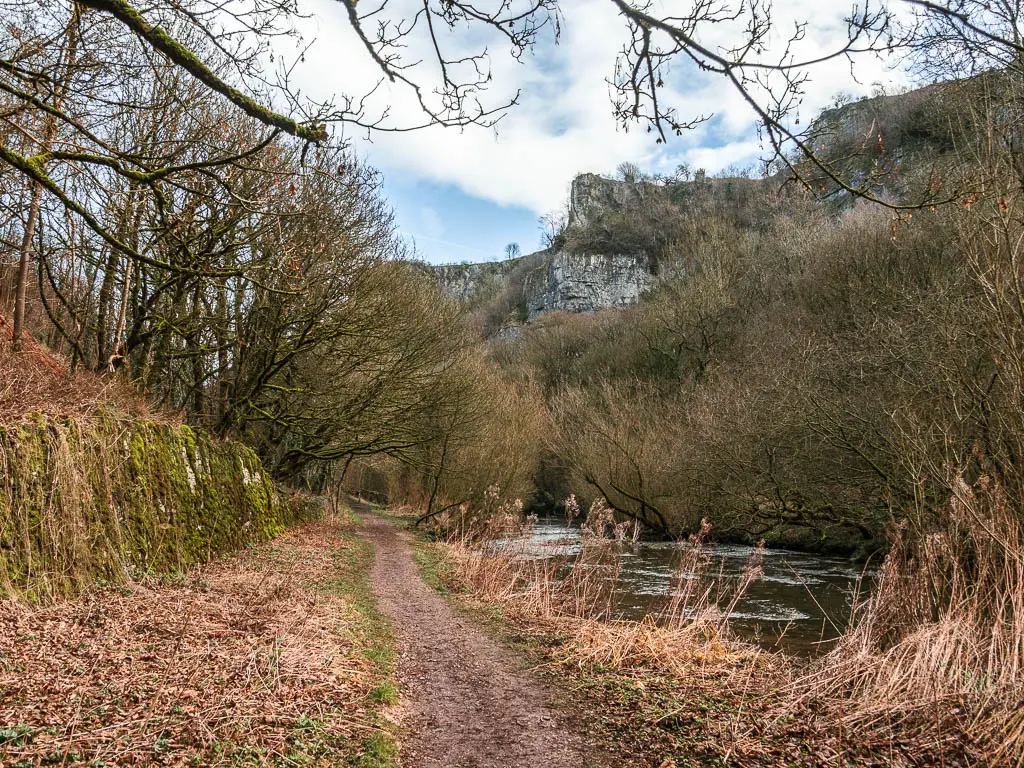 A dirt trail with the river to the right and a peak of the limestone cliffs ahead, partially hidden by trees.