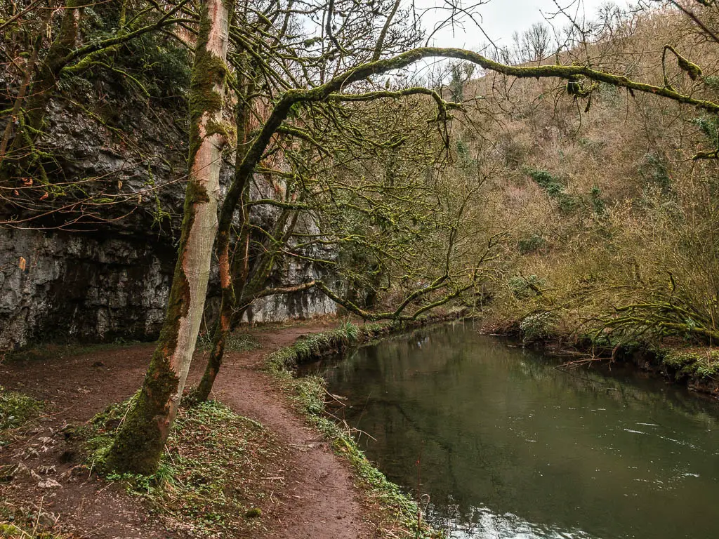 A dirt path on the left, with the river on the right. There is a cliff face on the left side of the trail, and lots of trees on the right side of the river.