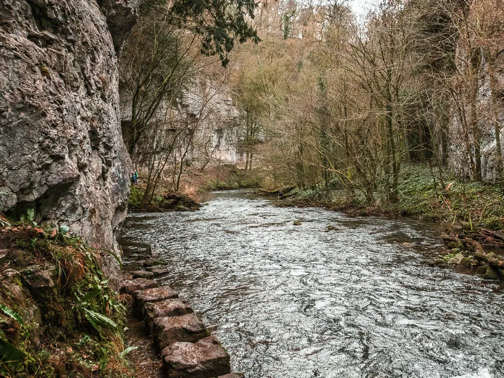 Stepping stones running along the left side of the river, next to a cliff face, on the walk through Chee Dale.