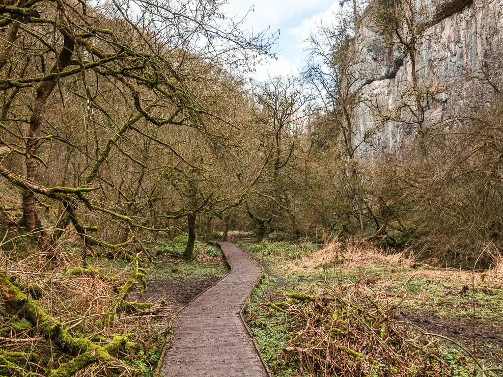 A wooden plank walkway snaking ahead, surround by straggly leafless trees, and a white rock cliff ace to the right.