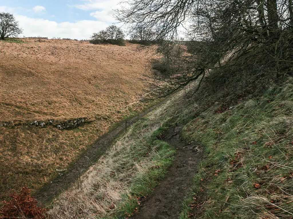 Looking down the steep hill to a dirt trail below.