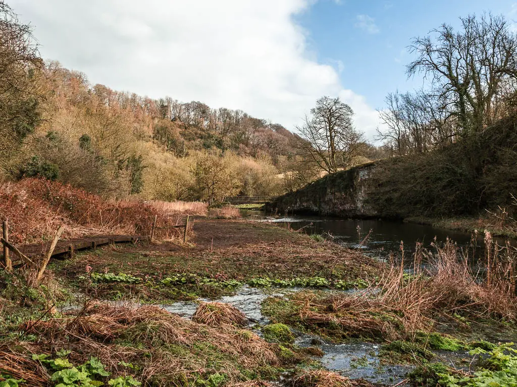 A large open body wet area, with woodland trees ahead in the distance.