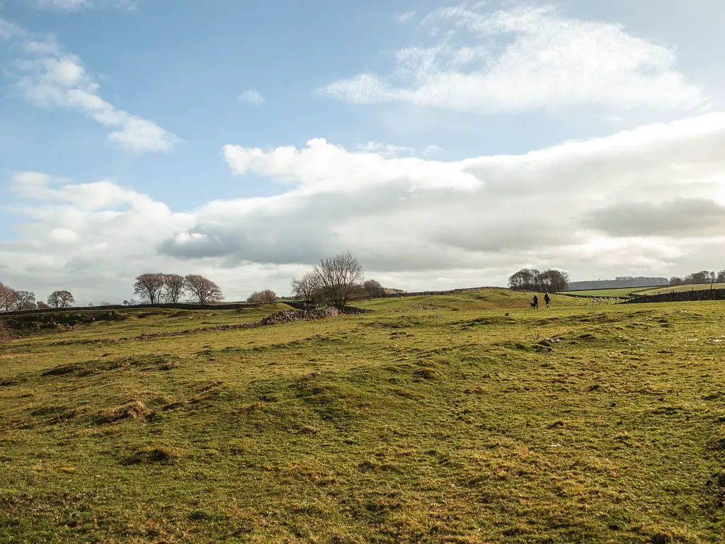 A large undulating grass field, with two people just about visible ahead to the right.