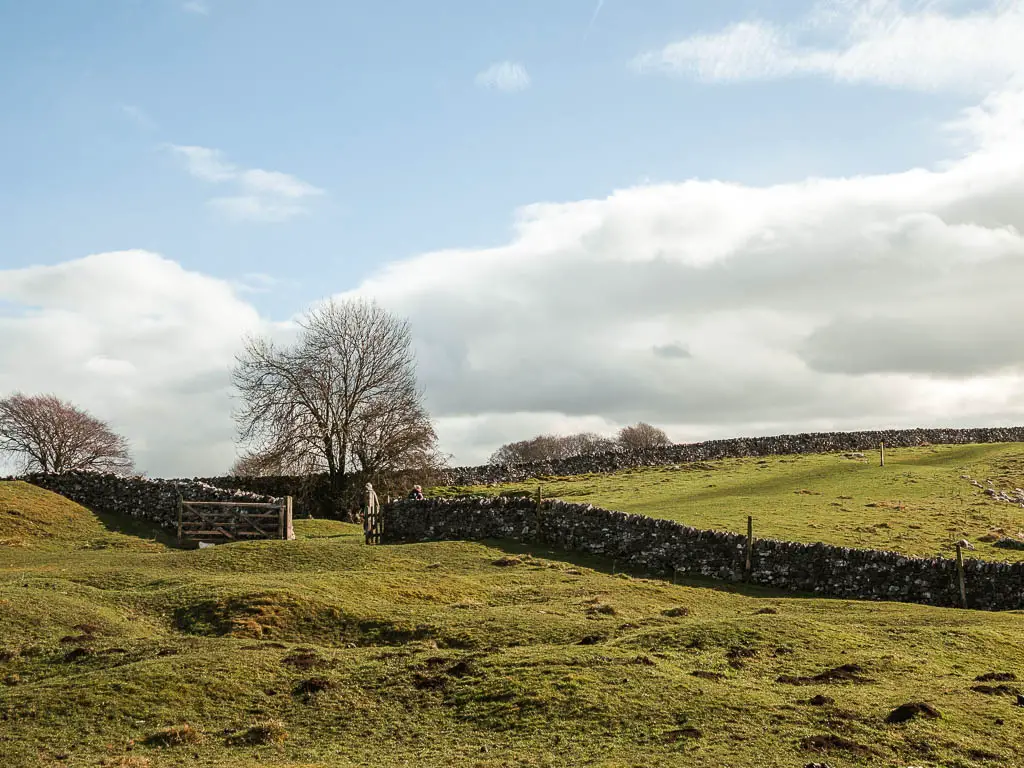 An undulating grass field, with a stone wall running across it ahead, and an open gate in the wall.