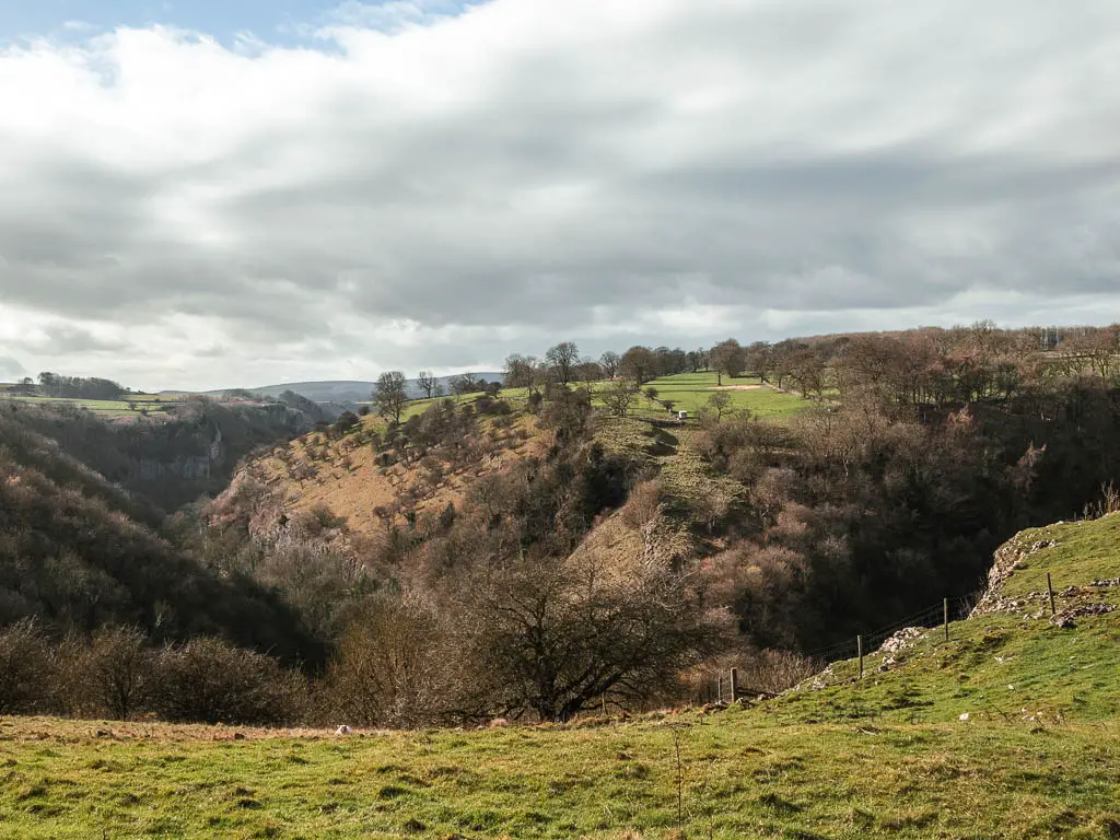 Looking across the green grass and down into the deep valley full of trees.