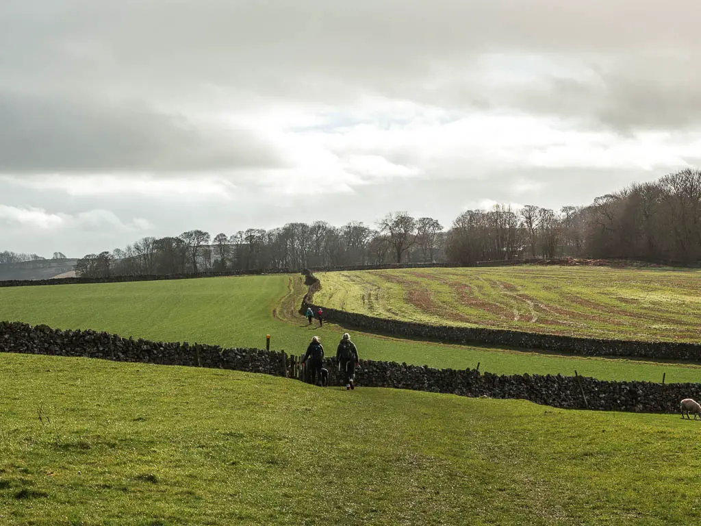 Looking across a series of large grass fields, separated by long stones walls and people walking ahead.