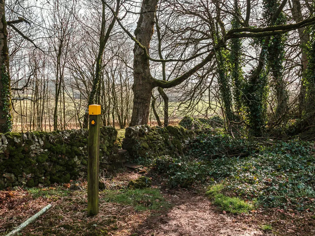 A wooden stump trail sign, with a yellow top and arrow pointing ahead to a small gap in a stone wall.